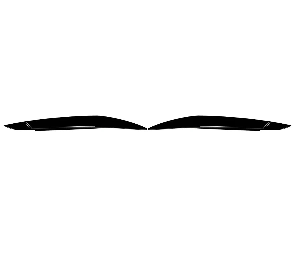 Eyebrows e70 (X6)